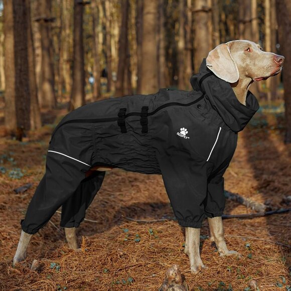 Winter Jacket for Dogs - Picture 3 of 8